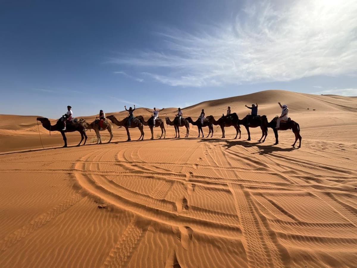 camel caravan morocco desert