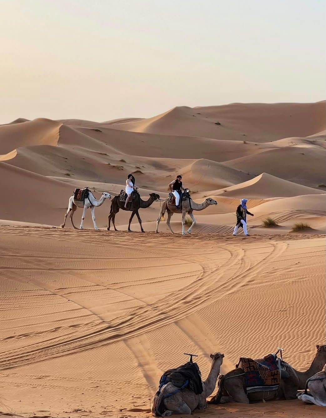 morocco camel ride desert