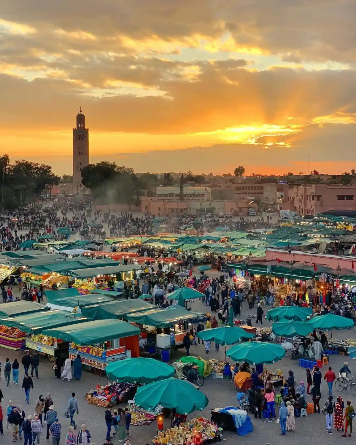 Best things to do in Marrakech with Jemaa el-Fna Koutoubia and the historic Medina